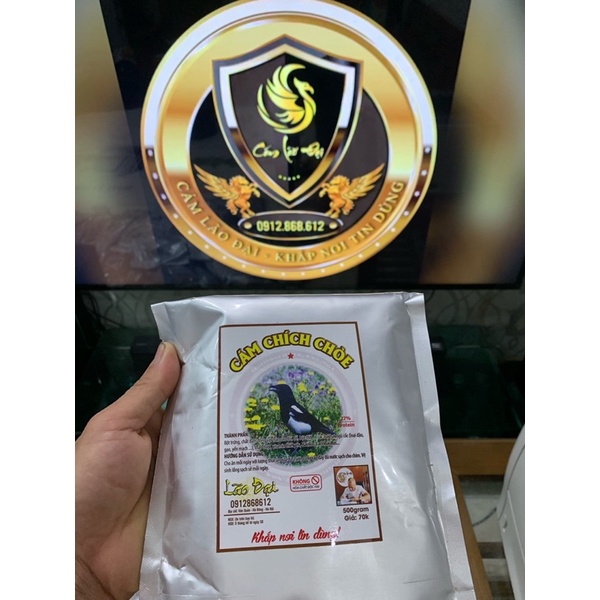 Cám chích choè lão đại