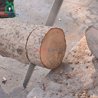 CƯA KIẾM GỖ BUDDY NHẬP KHẨU