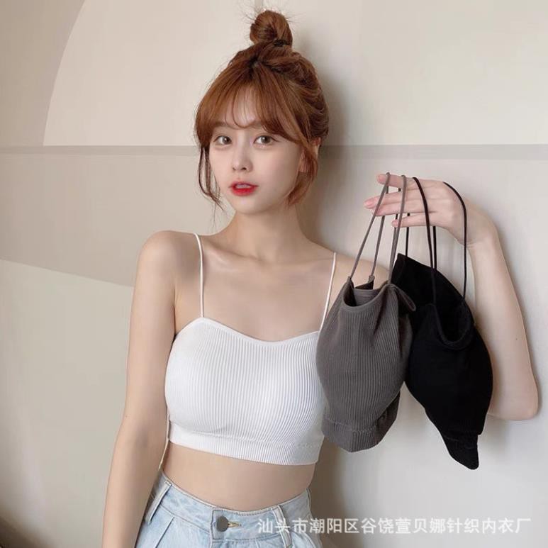 Áo Bra Gân Tăm 💖 FREESHIP 💖 Bra 2 Dây khoét Ngực - Áo Lót Nữ Không Gọng  AMYBRA 7719 | BigBuy360 - bigbuy360.vn