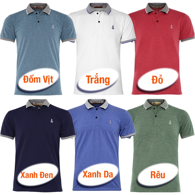 Set 3 áo thun nam cổ bẻ phối bo có logo thêu mỏ neo Zonado Zaht08 chọn màu