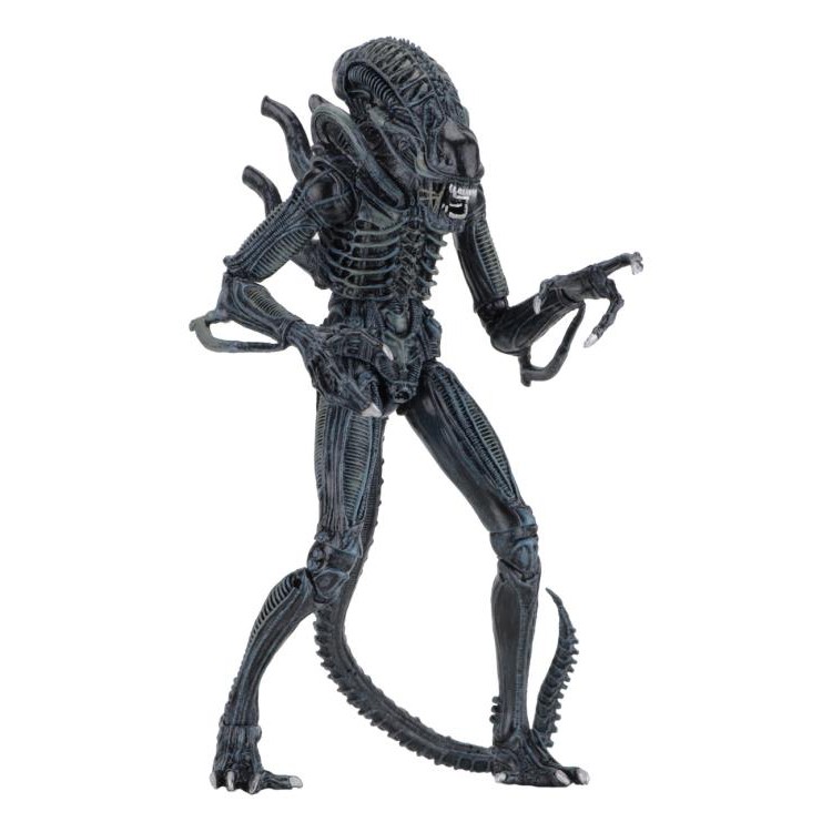 FIGURE NECA ALIEN XENOMORPH WARRIOR CHINA VER MÔ HÌNH NHÂN VẬT