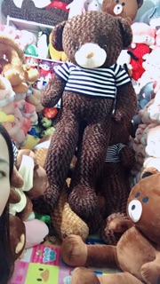 Gấu teddy khổ vải 2m2
