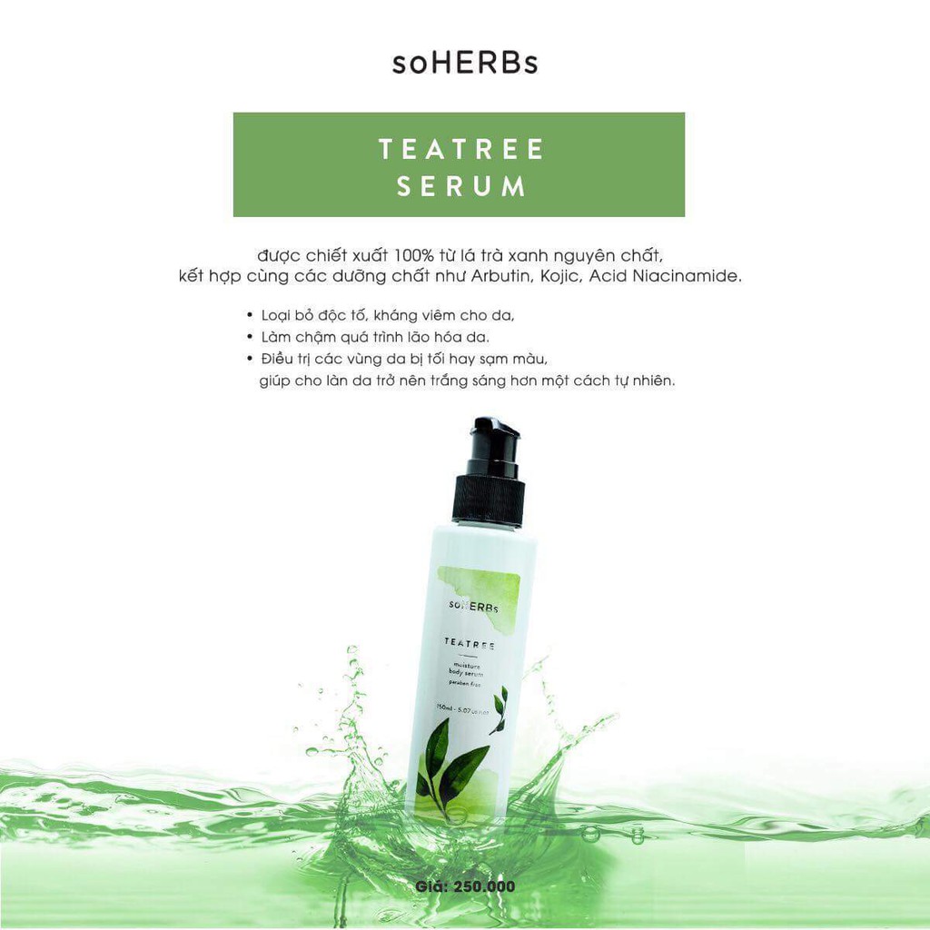 SOHERBS - SERUM TRÀ XANH - TEATREE SERUM