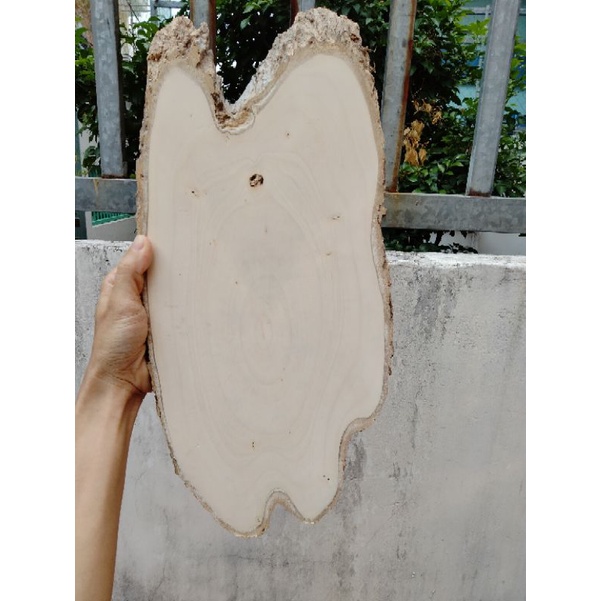 Lát gỗ trơn dài 35-40cm