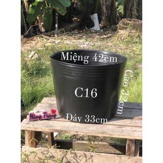 Chậu 16 không lổ - nuôi cá 🐟🐟-trồng sen