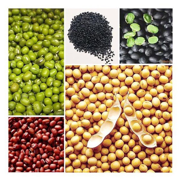 BỘT DINH DƯỠNG 5 THỨ ĐẬU | Thi hí