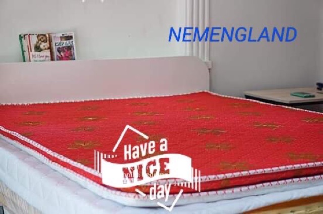 Nệm cuổn NEMENGLAN chất lượng 1 m6 x2m