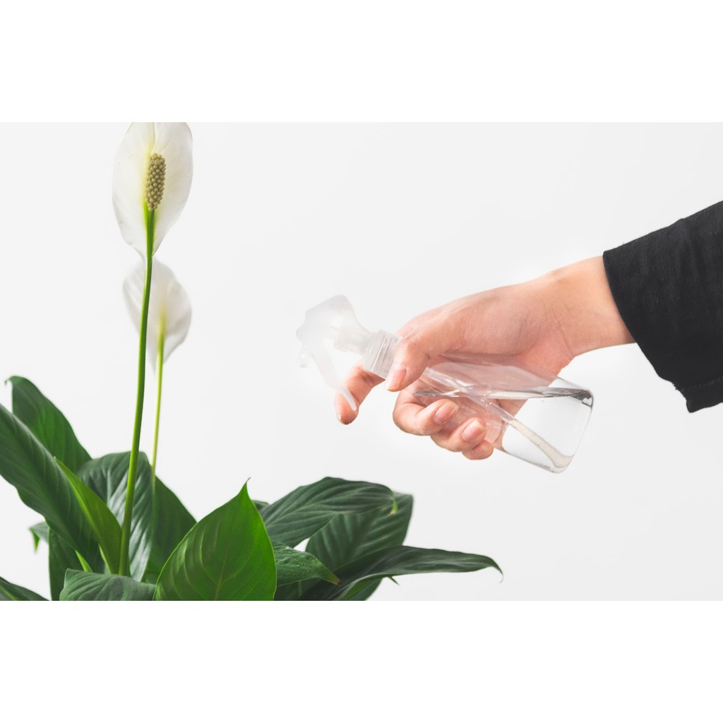 Bình tưới cây 200ml | THE FISH DESIGN