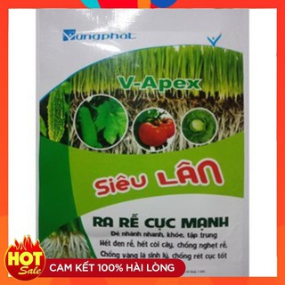 Siêu Lân Ra Rễ Cực Mạnh mẫu mới 2020