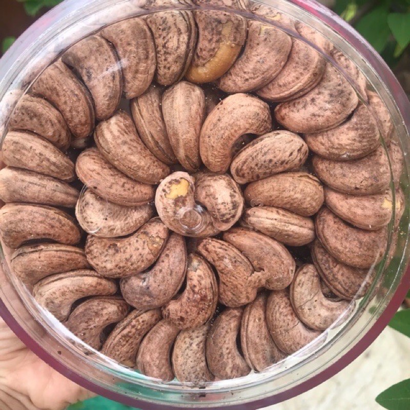 [500gr] Hạt Điều Rang Muối Chưa Bóc Vỏ Lụa (Túi Zip Hút Chân Không) - BAZAN 47