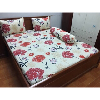 COTTON HÀN QUỐC - COTTON ALNENA