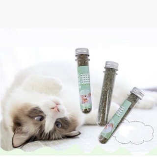 Cỏ mèo bạc hà catnip khô - ống 50 gram - phụ kiện thú cưng giá rẻ