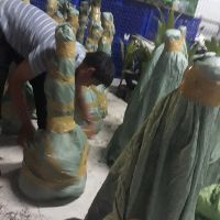 cây dừa vàng (dừa tam quan)