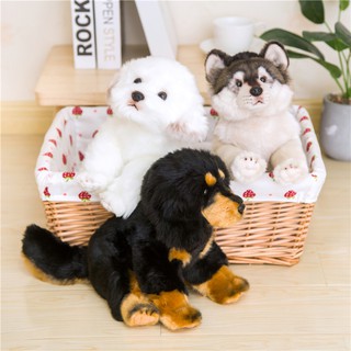 Dễ Thương Chó Maltese Sang Trọng Đồ Chơi Búp Bê Tây Tạng Mô Phỏng Búp Bê Sói Búp Bê Cô Gái Gối Ngủ Phòng Trang Trí Giường Búp Bê Thú Cưng Búp Bê Ngủ Trẻ Em Quà Tặng Sinh Nhật Sáng Tạo