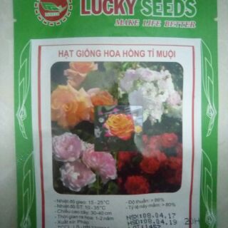 Hạt giống hoa hồng tỉ muội mix