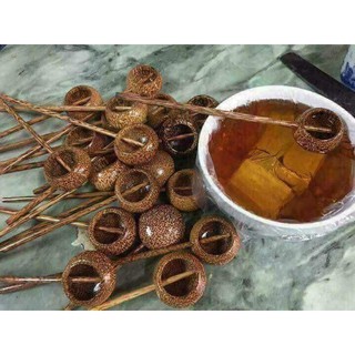 Gáo dừa múc rượu
