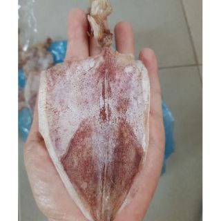 1 CON MỰC KHÔ y hình