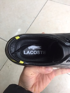 Giày lacoste đen viền xanh
