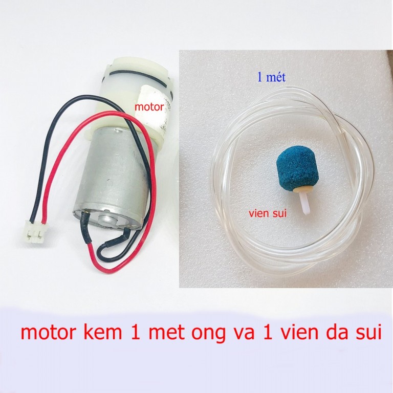 Motor bơm oxy-bơm nước 3v
