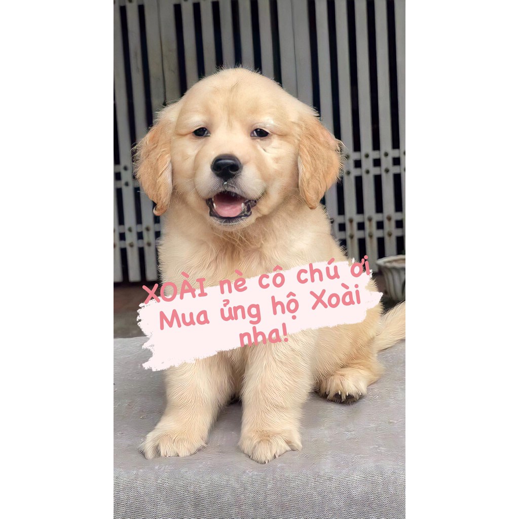 Áo khoác dù  áo khoác nam nữ mang đôi siêu hot, 2 lớp dày dặn size M L Xl