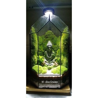 Rêu cỏ làm terrarium, đắp chậu bonsai ,tiểu cảnh....