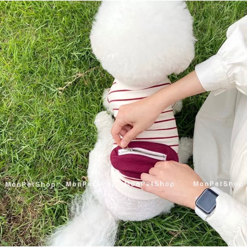 [Có sẵn] Áo thun có túi kéo khoá cho thú cưng