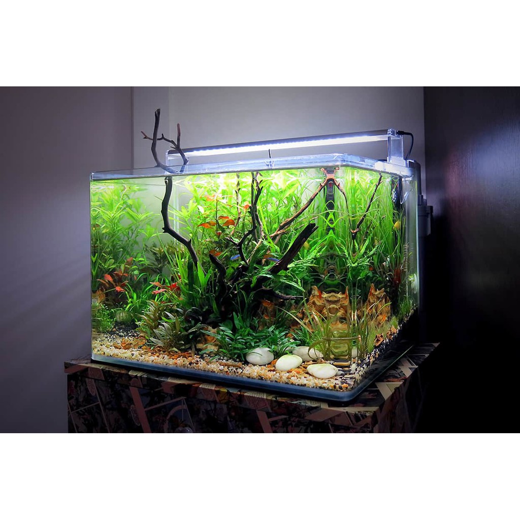 ĐÈN LED CHIHIROS A SERIA 301, ASERIA 501