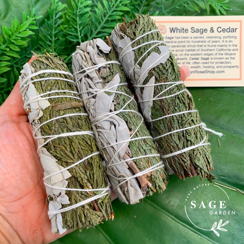 XÔNG NHÀ MỚI, MỪNG TÂN GIA (Tuyết tùng - Cedar)_SAGE GARDEN