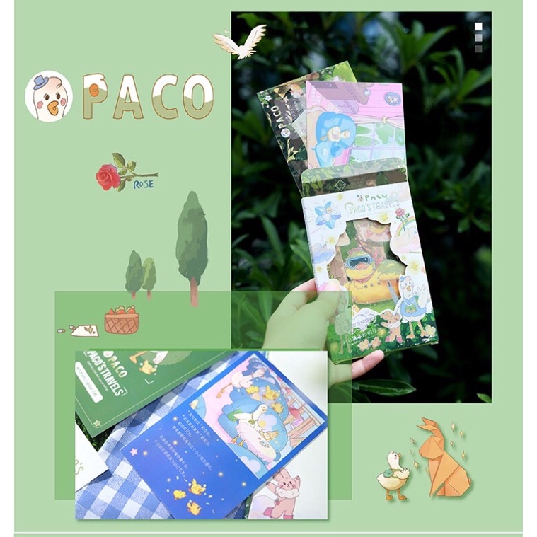 Hộp 30 tấm postcard thiệp paco’s travels