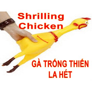 Gà trống thét shriling chicken 40cm