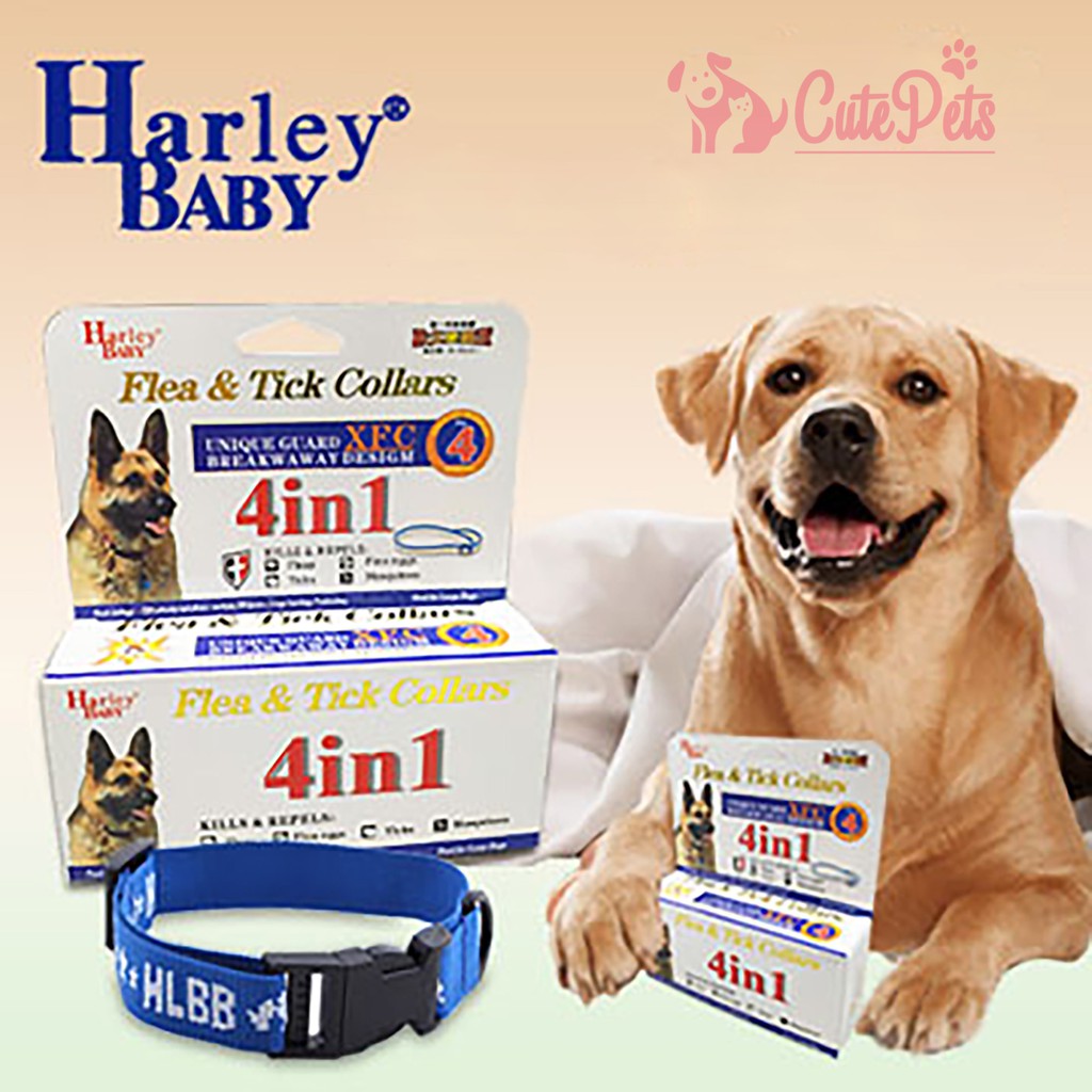 Vòng chống rận Harley Baby 4 in 1 Trị ve rận dành cho chó mèo - CutePets Phụ kiện thú cưng Pet shop Hà Nội