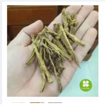 Củ bình vôi (gói 1kg) - EOE163