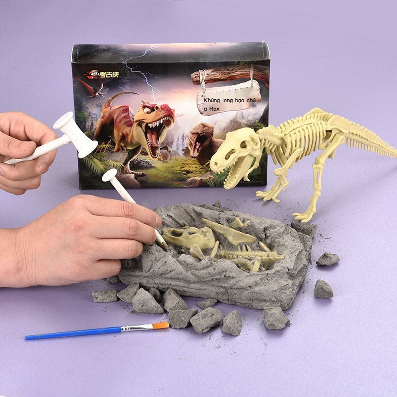 ○Giáo dục trẻ em khủng long hóa thạch khai quật khảo cổ đồ chơi Tyrannosaurus rex bộ xương
