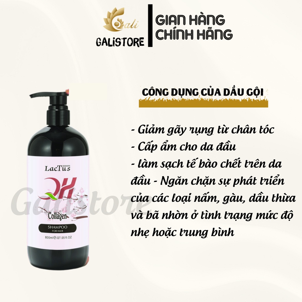 Dầu gội đầu ngăn rụng tóc QH Lactus season dầu gội da dầu, ngăn gàu - Galistore