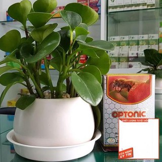 (Có bill) Optonic - Hỗ trợ điều trị các bệnh về mắt, tăng thị lực, tăng sức đề kháng cho cơ thể, giảm mỡ máu