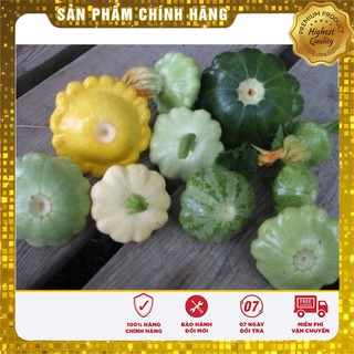 Hạt Giống Bí Đĩa Bay dễ trồng quanh năm