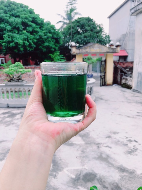 Diệp lục Collagen - Tăng cường nội tiết tố nữ (Hàng chính hãng) | BigBuy360 - bigbuy360.vn