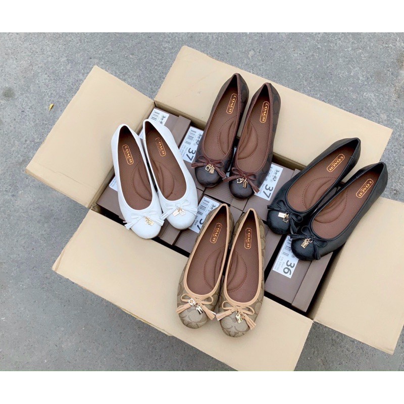 🎀🎀XỊN XÒ⭐️⭐️BÚP BÊ COACH