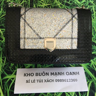 Túi xách dior size 20cm