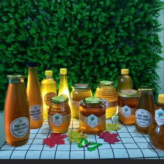 Mật ong hoa ban Điện Biên. Sản phẩm OCop