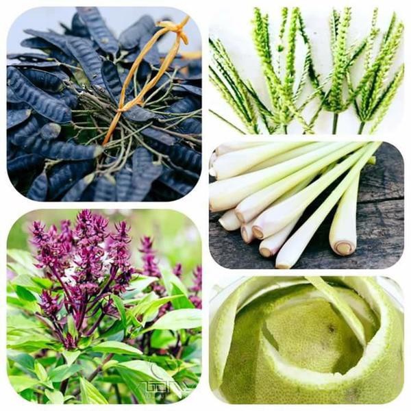 HCM  - Liệu trình gội đầu và massage dưỡng sinh tại Paradise Spa