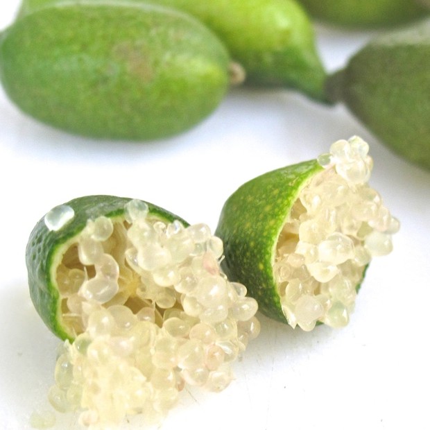 Cây Giống Chanh Ngón Tay - Figer Lime