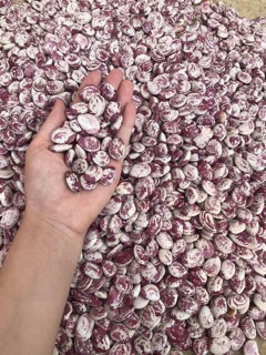 1 kg ĐẬU NGỰ KHÔ