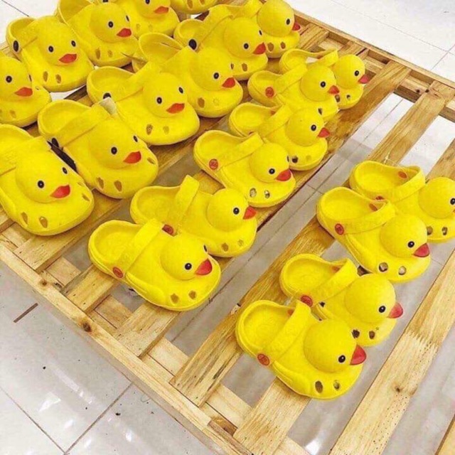 Set dép vịt