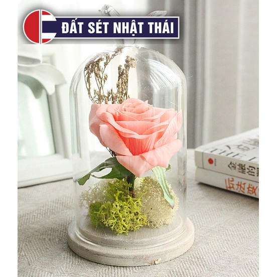 LỒNG THỦY TINH PHA LÊ ĐẾ GỖ TRẮNG 3CM - NÚM TRÒN