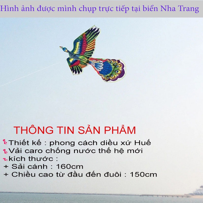 DIỀU CÔNG PHONG CÁCH XỨ HUẾ - DIỀU CỒNG SIỀU ĐẸP - THÁI BÌNH.VN_17