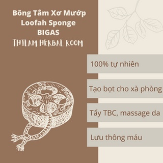 🌿Thilam Herbal Room🌿 Bông Tắm Xơ Mướp 100% Tự Nhiên tạo bọt cho xà phòng và sữa tắm
