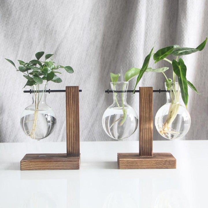 Bộ Chai Thủy Tinh Để Trồng Cây Thủy Sinh - Khung Gỗ Kèm Chai Thủy Tinh Trồng Cây Trang Trí