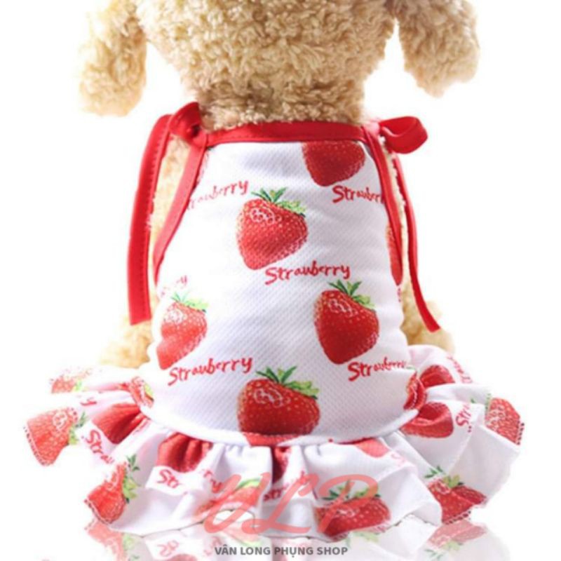 SET ÁO &amp; VÁY CHO THÚ CƯNG - QUẦN ÁO CHÓ MÈO HÌNH TRÁI DÂU