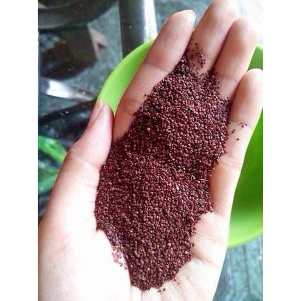 0,5kg HẠT NGŨ HOA MẶT NẠ MÁT LẠNH CHO DA NGUYÊN CHẤT, SẠCH UY TÍN